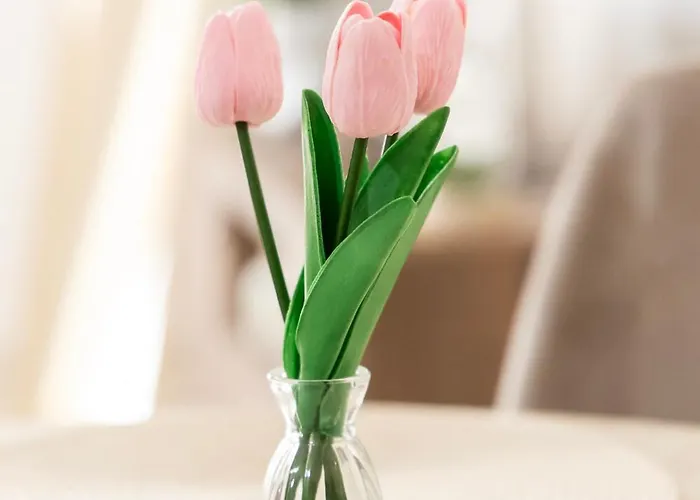 Apartment Pineios View New *